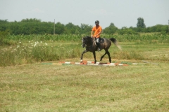 Antrenament (8)