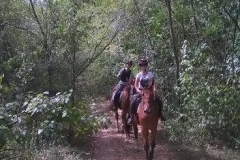 Plimbari la camp (4)